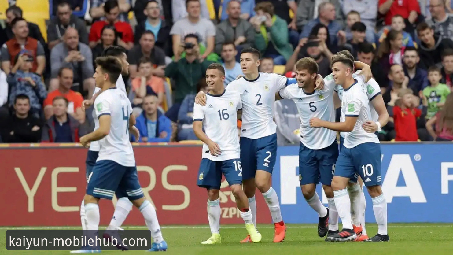 通过kaiyun体育平台高效复盘阿根廷大胜的实战操作教程